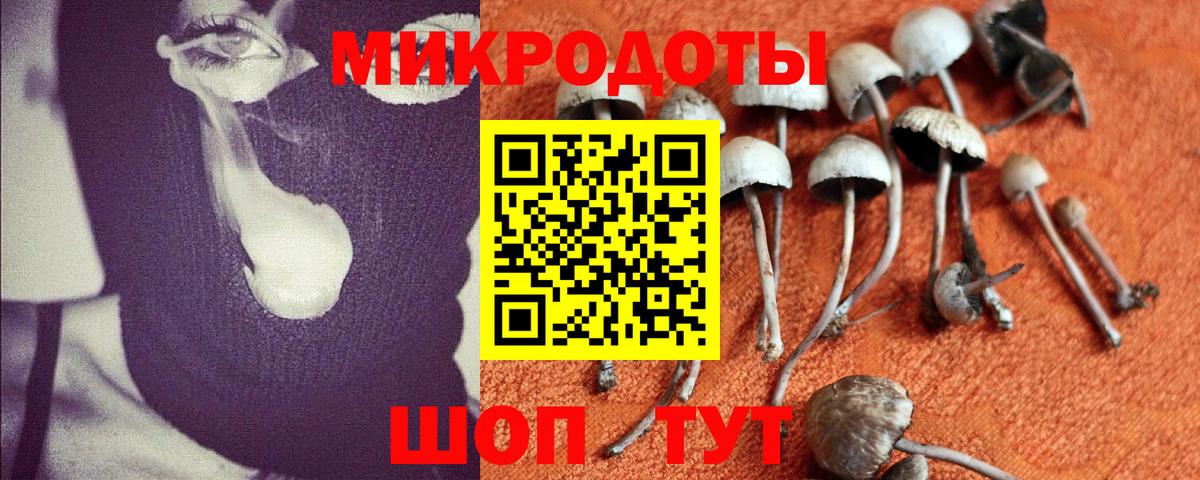 Псилоцибиновые грибы ЛСД Можайск