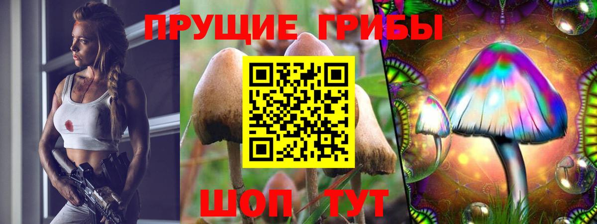закладки  Псилоцибиновые грибы мицелий  Вход с VPN  Можайск 
